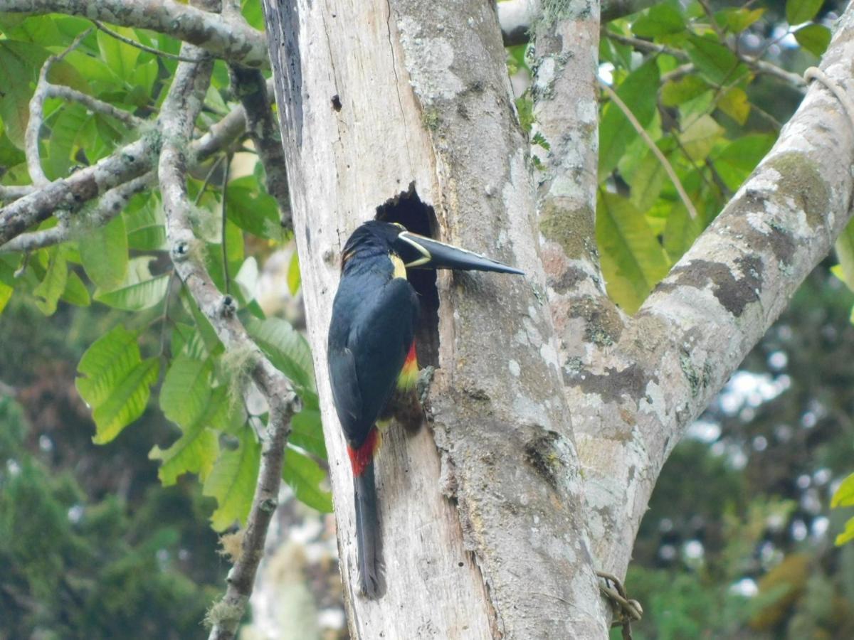 Guayabo Lodge Santa Cruz  Eksteriør billede