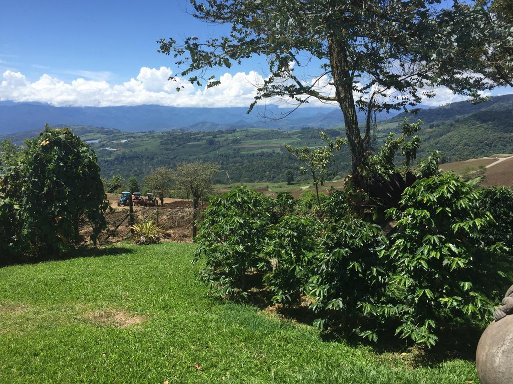 Guayabo Lodge Santa Cruz  Eksteriør billede
